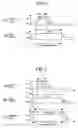 Fig. 04 - Plasma processing apparatus and plasma processing method