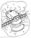 Fig. 01 - Water escape apparatus for animals