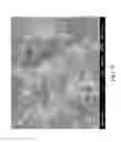 Fig. 10 - Nanoplatelet magnesium hydroxides and methods of preparing same