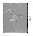 Fig. 11 - Nanoplatelet magnesium hydroxides and methods of preparing same