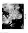 Fig. 14 - Nanoplatelet magnesium hydroxides and methods of preparing same