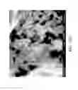 Fig. 16 - Nanoplatelet magnesium hydroxides and methods of preparing same