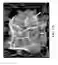 Fig. 19 - Nanoplatelet magnesium hydroxides and methods of preparing same