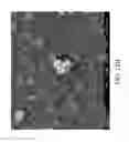 Fig. 20 - Nanoplatelet magnesium hydroxides and methods of preparing same