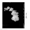 Fig. 24 - Nanoplatelet magnesium hydroxides and methods of preparing same