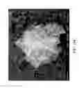 Fig. 30 - Nanoplatelet magnesium hydroxides and methods of preparing same