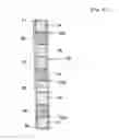 Fig. 05 - Functional water purifier