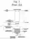 Fig. 02 - Dissolved air floatation with filter system