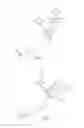 Fig. 02 - SIPHON DEVICE FOR REMOVING LIQUIDS FROM BOTANICAL CONTAINERS AND METHOD