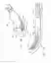 Fig. 29 - Surgical stapling device having supports for a flexible drive mechanism