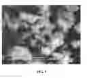 Fig. 07 - COPPER WELDING SOLID WIRE WITH GOOD ARC STABILITY