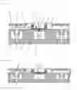 Fig. 03 - Volatile Liquid Dessemination Apparatus