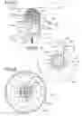 Fig. 04 - VERTICALLY MOVABLE FLYING BODY