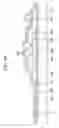 Fig. 41 - Organic light emitting device and manufacturing method thereof