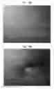 Fig. 04 - Semiconductor light emitting device having metal reflective layer