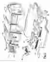 Fig. 04 - Vehicle having a passenger compartment body structure