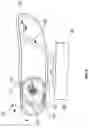 Fig. 09 - Saddle for bicycles