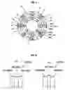 Fig. 05 - Permanent magnet motor