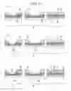 Fig. 08 - Magnetic sensor and manufacturing method therefor