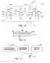 Fig. 06 - Tunable microwave devices with auto-adjusting matching circuit