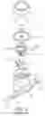 Fig. 02 - TEMPERATURE SWITCH