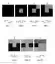 Fig. 01 - Liquid crystal devices with greyscale