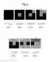 Fig. 07 - Liquid crystal devices with greyscale