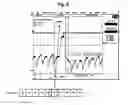 Fig. 09 - Liquid crystal display and driving method thereof