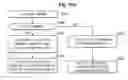 Fig. 41 - Liquid crystal display and driving method thereof
