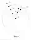 Fig. 08 - Modeling hair using interpolation and clumping in an iterative process