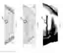 Fig. 07 - Generating animation libraries
