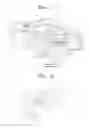 Fig. 02 - INKJET IMAGE FORMING APPARATUS