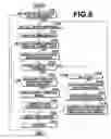 Fig. 09 - Apparatus, method and computer-readable recording medium containing program for photographing