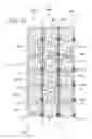 Fig. 04 - Missing pixel architecture