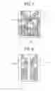 Fig. 06 - LCD device including a reflection film having a convex-concave surface