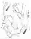 Fig. 08 - Children's sunglasses