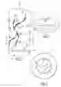 Fig. 02 - LAMP