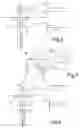 Fig. 03 - METHOD AND DEVICE FOR NON-DESTRUCTIVE READING FOR A FERROELECTRIC-MATERIAL STORAGE MEDIA