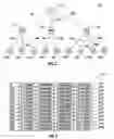 Fig. 03 - Hierarchical multicast protocol in a mobile ad-hoc network