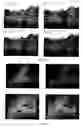 Fig. 16 - Identifying spurious regions in a video frame