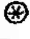 Fig. 02 - Device for processing raw images or tensor images