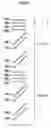 Fig. 06 - Image forming method, image forming apparatus and toner image pattern