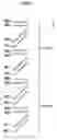Fig. 08 - Image forming method, image forming apparatus and toner image pattern