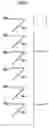 Fig. 09 - Image forming method, image forming apparatus and toner image pattern