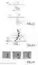 Fig. 07 - Micro-fluidic systems based on actuator elements