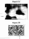Fig. 03 - Full density Co-W magnetic sputter targets