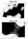 Fig. 06 - Full density Co-W magnetic sputter targets