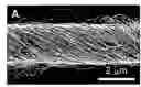 Fig. 01 - Fabrication of twisted and non-twisted nanofiber yarns