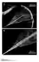 Fig. 03 - Fabrication of twisted and non-twisted nanofiber yarns