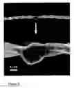 Fig. 07 - Fabrication of twisted and non-twisted nanofiber yarns